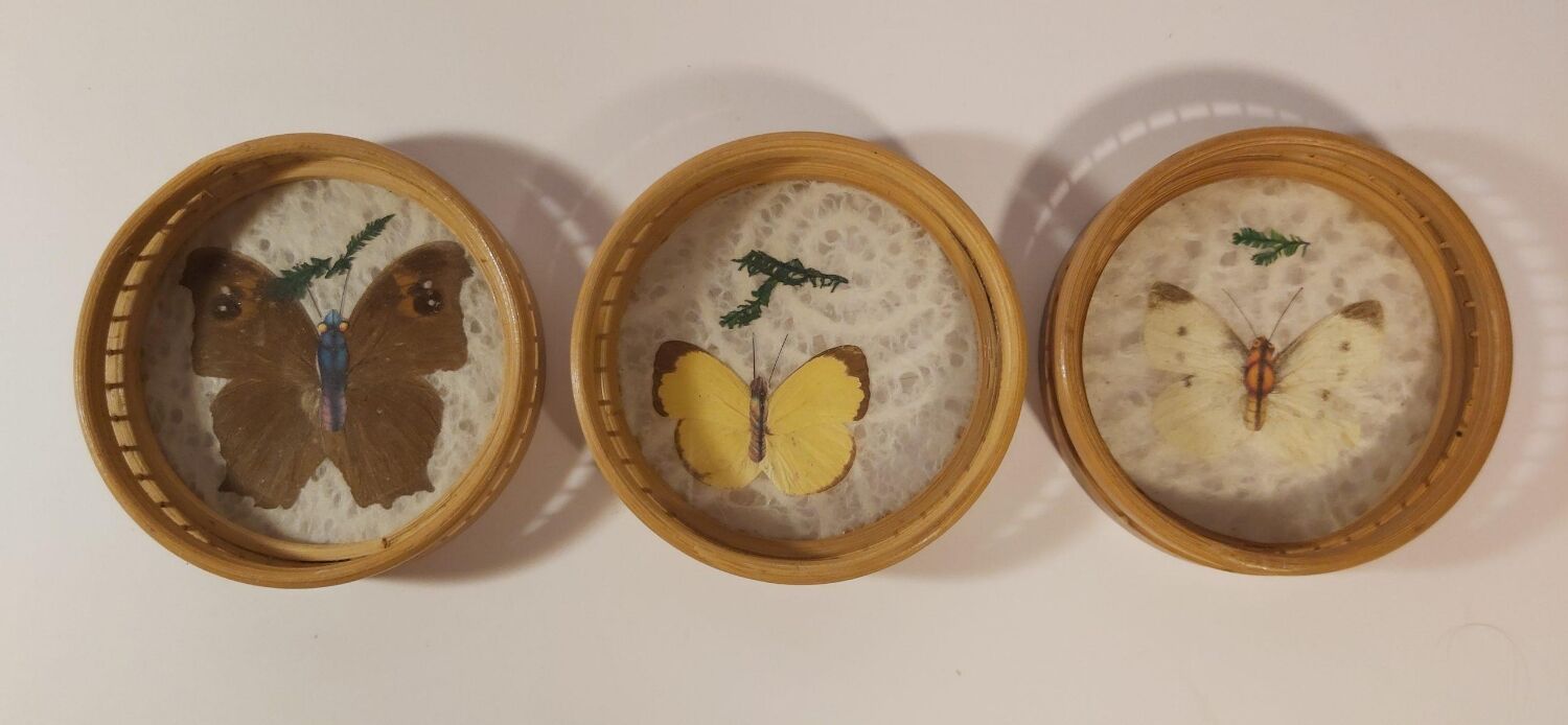 Top and coaster butterfly from the 70s