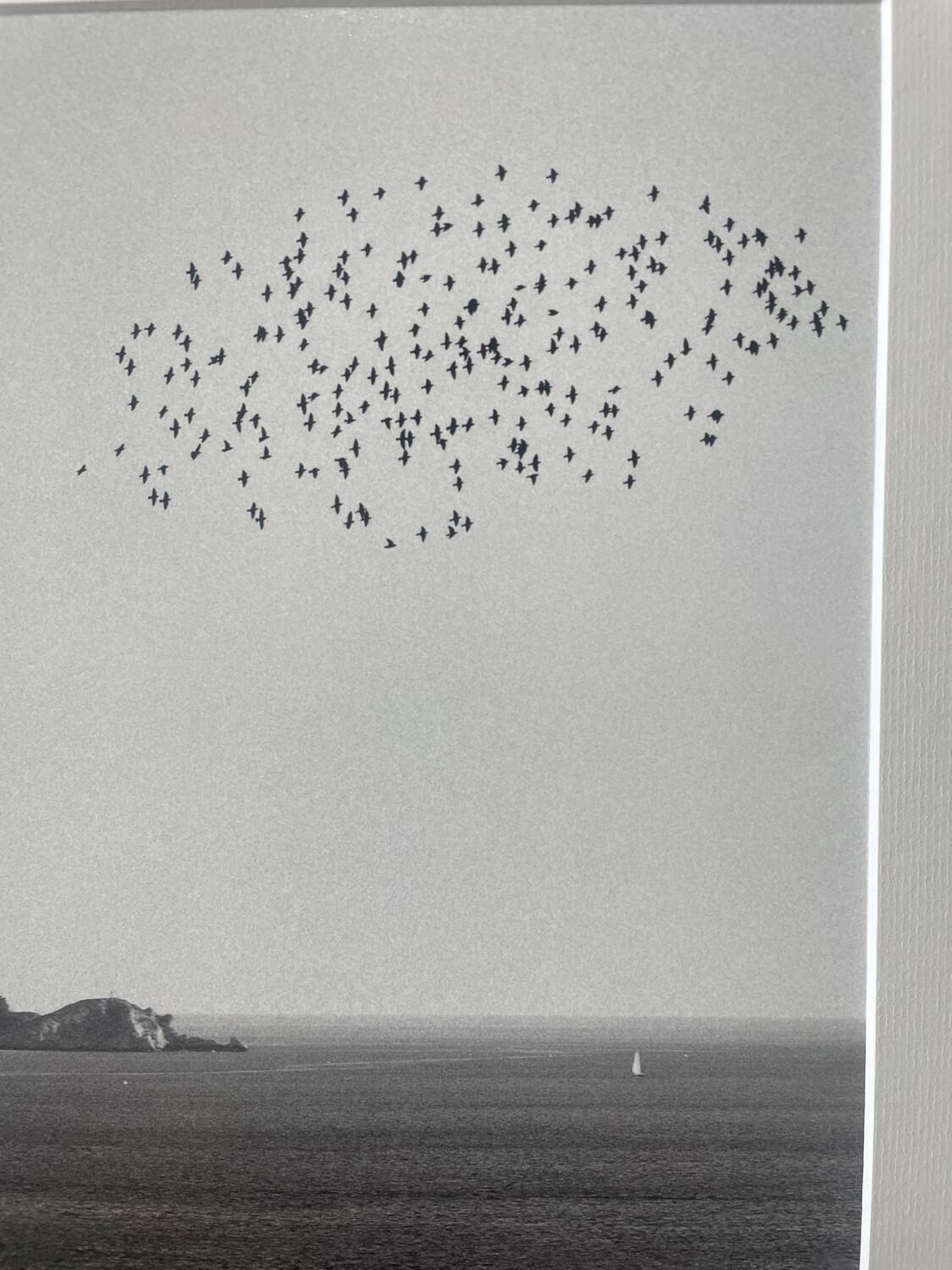 The flight