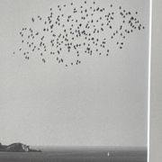 The flight