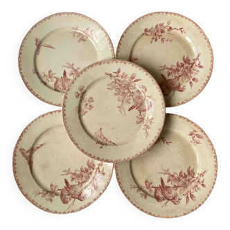 Set of 5 ironstone plates “pink birds”