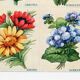 Poster featuring abronia, rose everlasting, adonis, and ageratum