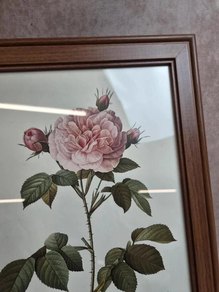 Lot de 3 cadres botaniques P.j. Redouté – Roses & tulipe