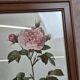 Lot de 3 cadres botaniques P.j. Redouté – Roses & tulipe