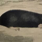 Original Zoological Plate "Guinea Pig, Mole,... - Buffon 1836