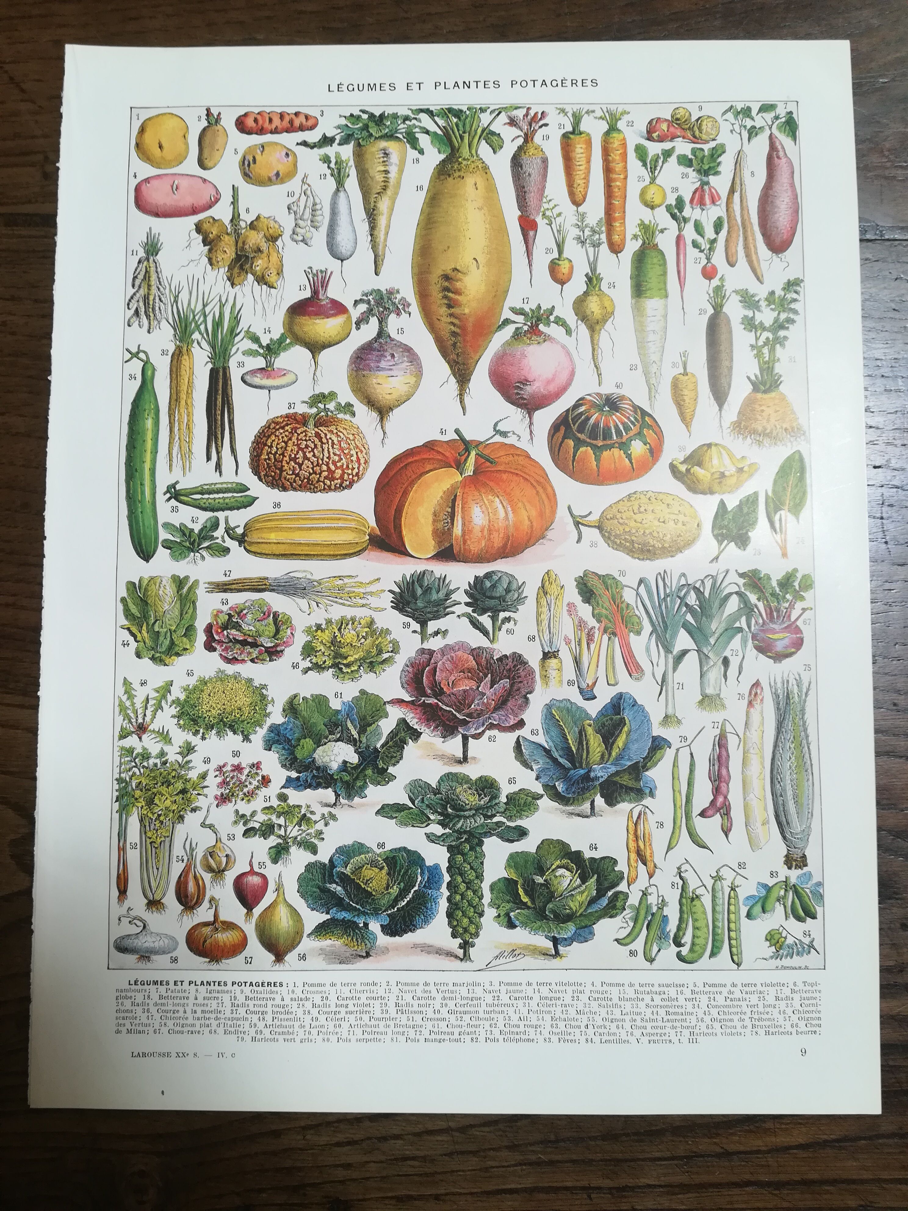 Lithographs on vegetables fruits and eggs