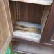 Armoire parisienne vintage