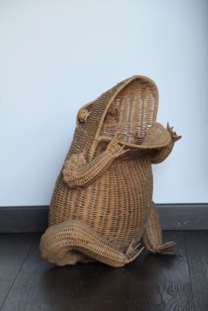 Olivier Cajan's Rattan Frog Magazine 1975