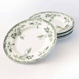 Set of 6 green Terre de fer plates