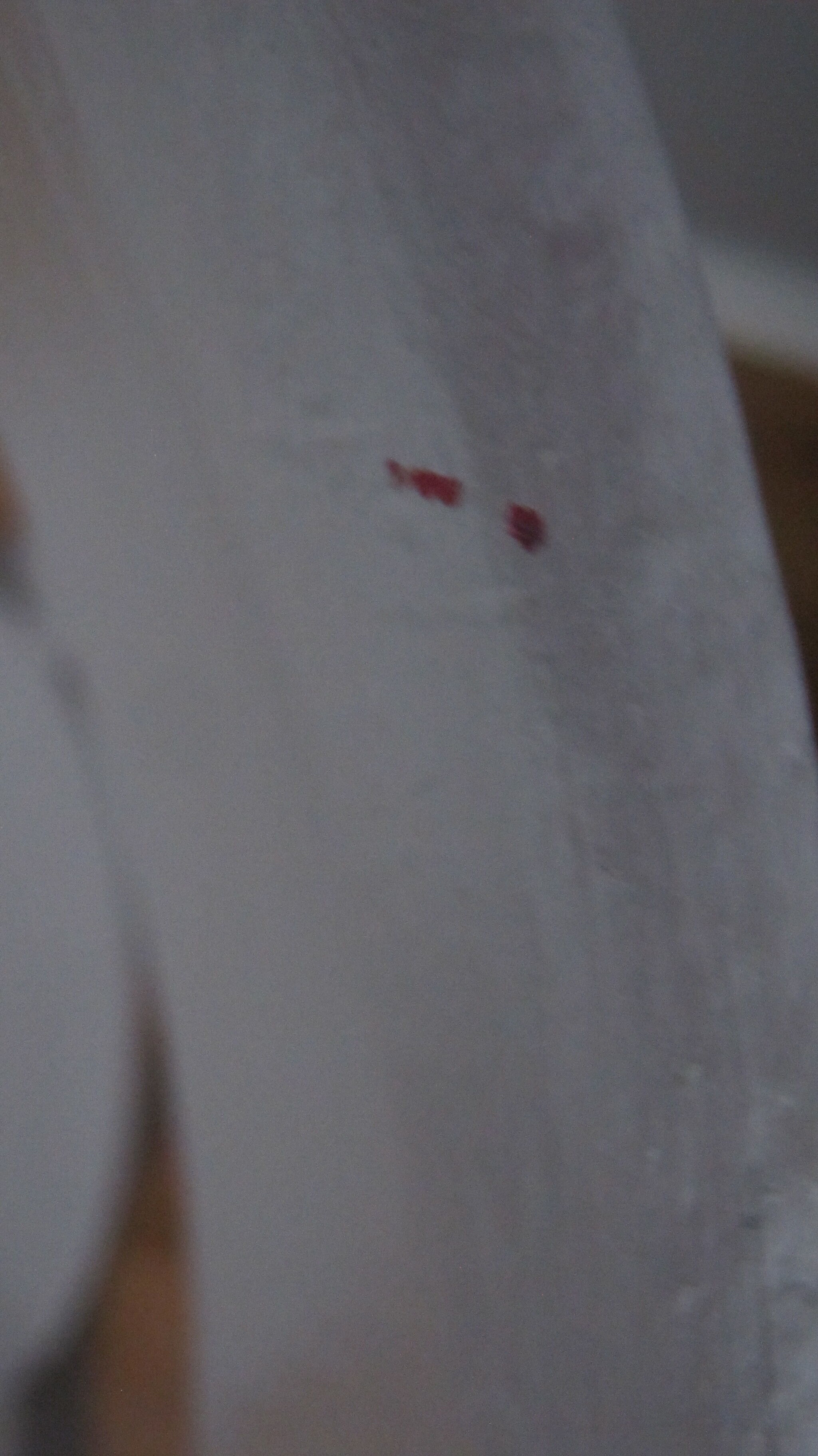 Baumann desk and his chair