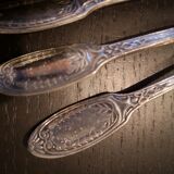 10 small silver metal spoons