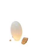 Superbe lampe à poser en verre de Murano.  Design Lino Tagliapietra po