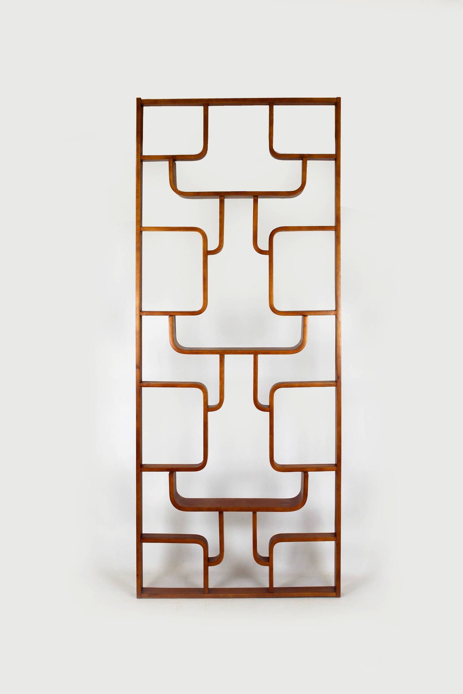 Restored Mid-Century Room Divider by L. Volak for Drevopodnik Holesov, 1960s