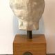 Plaster Head Greek Man