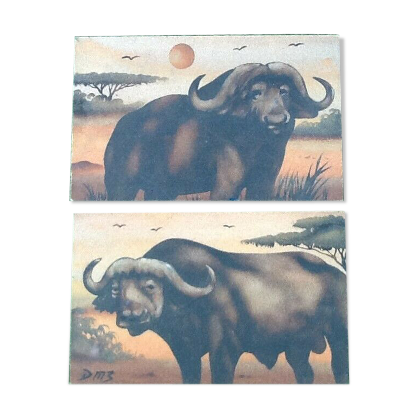 Sand painting on wood panel African buffaloes Artist Dm3 (Demba Mbengue)