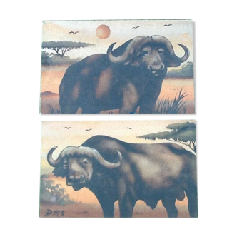 Paire de peintures sur panneau bois Buffles d' Afrique