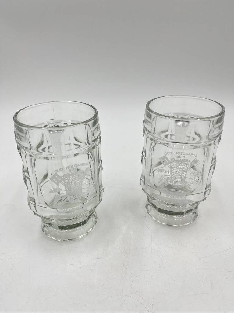 Duo of 25 cl beer mugs