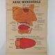 Vintage educational wall hanging roll chart poster map