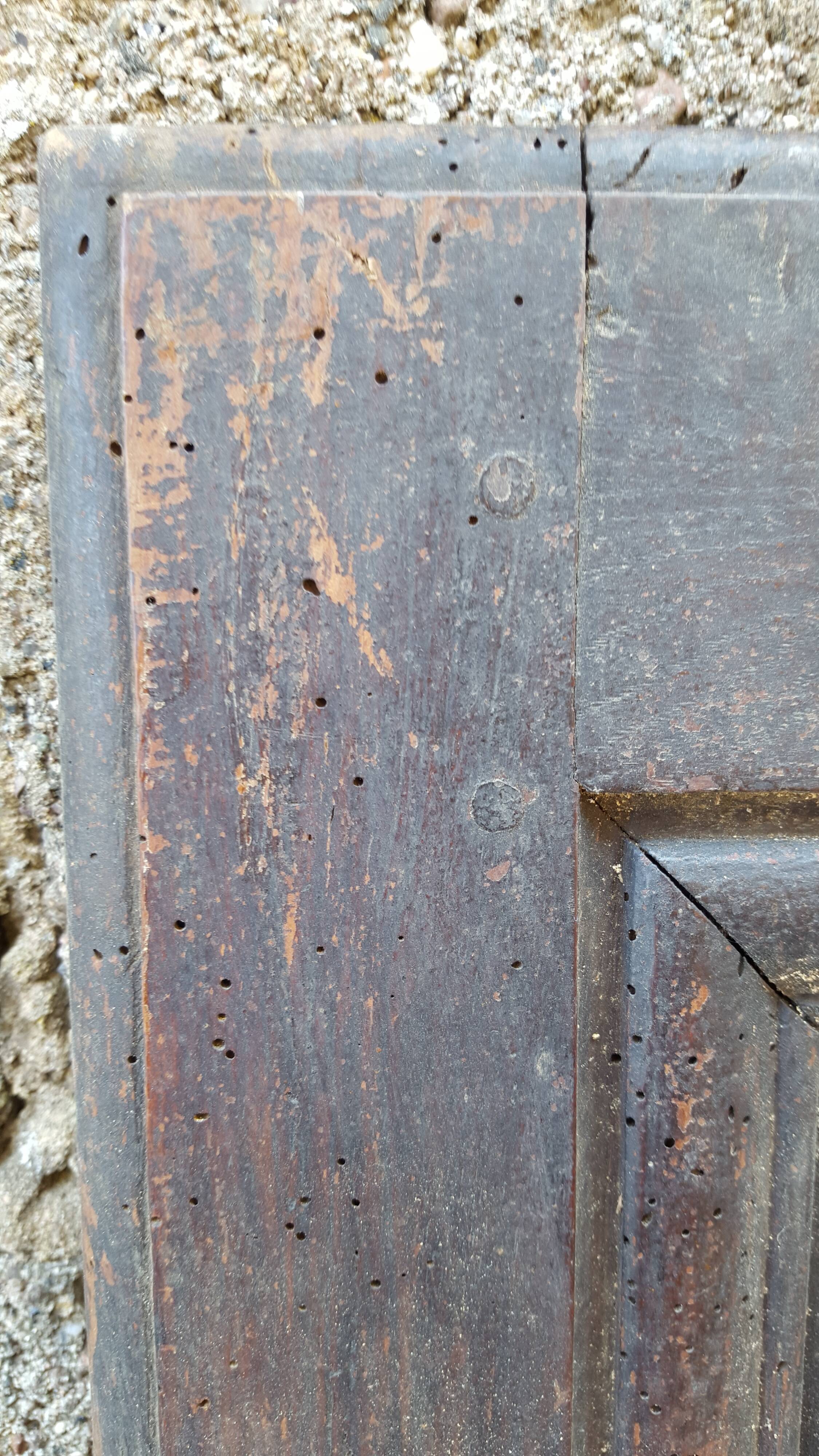 Pair of 18th/19th century old doors