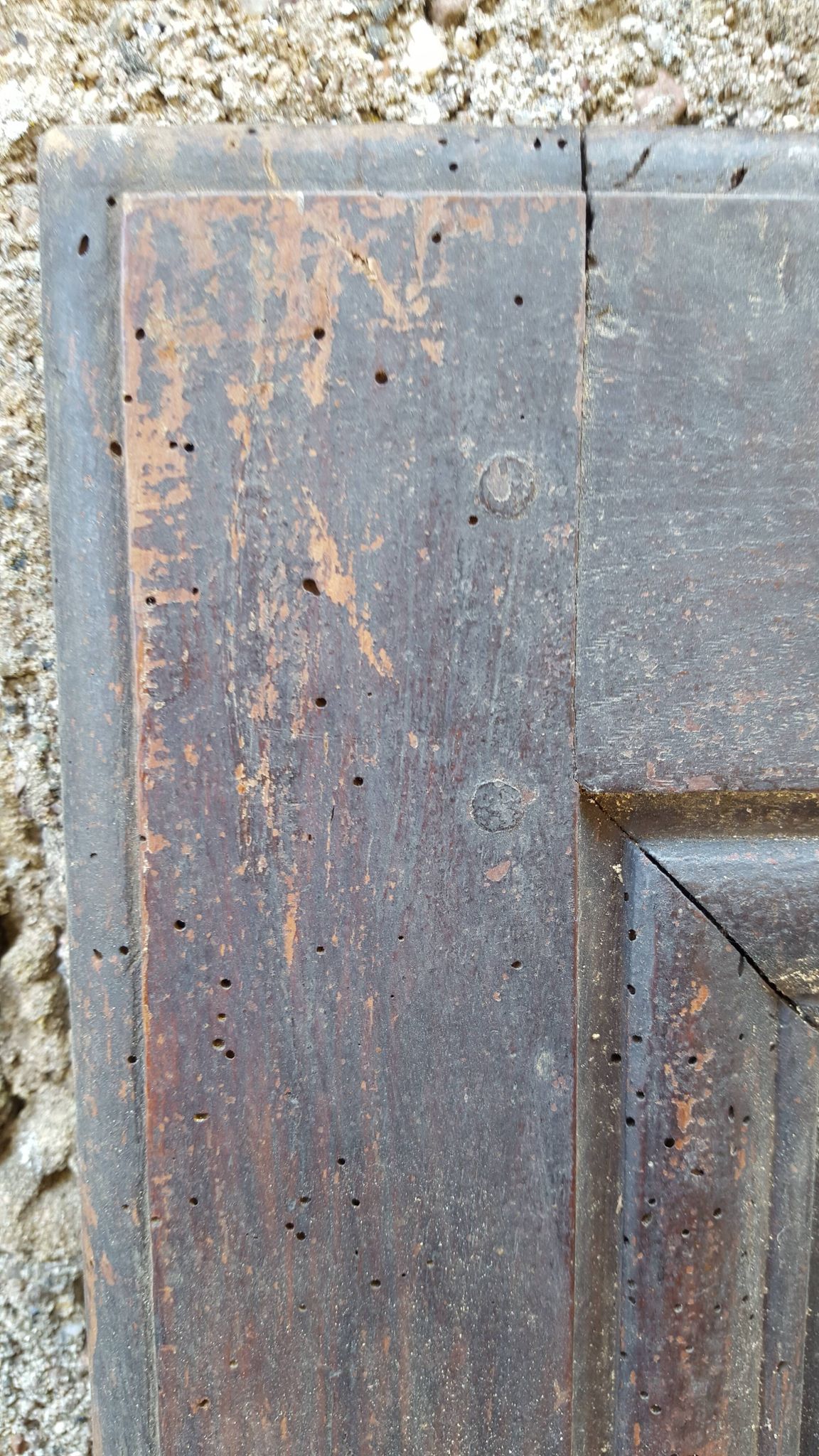 Pair of 18th/19th century old doors