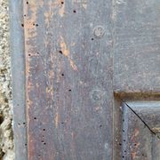 Pair of 18th/19th century old doors