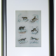 Original zoological plate " Caracal - Serval - Ocelot - &c... " Buffon (1836)