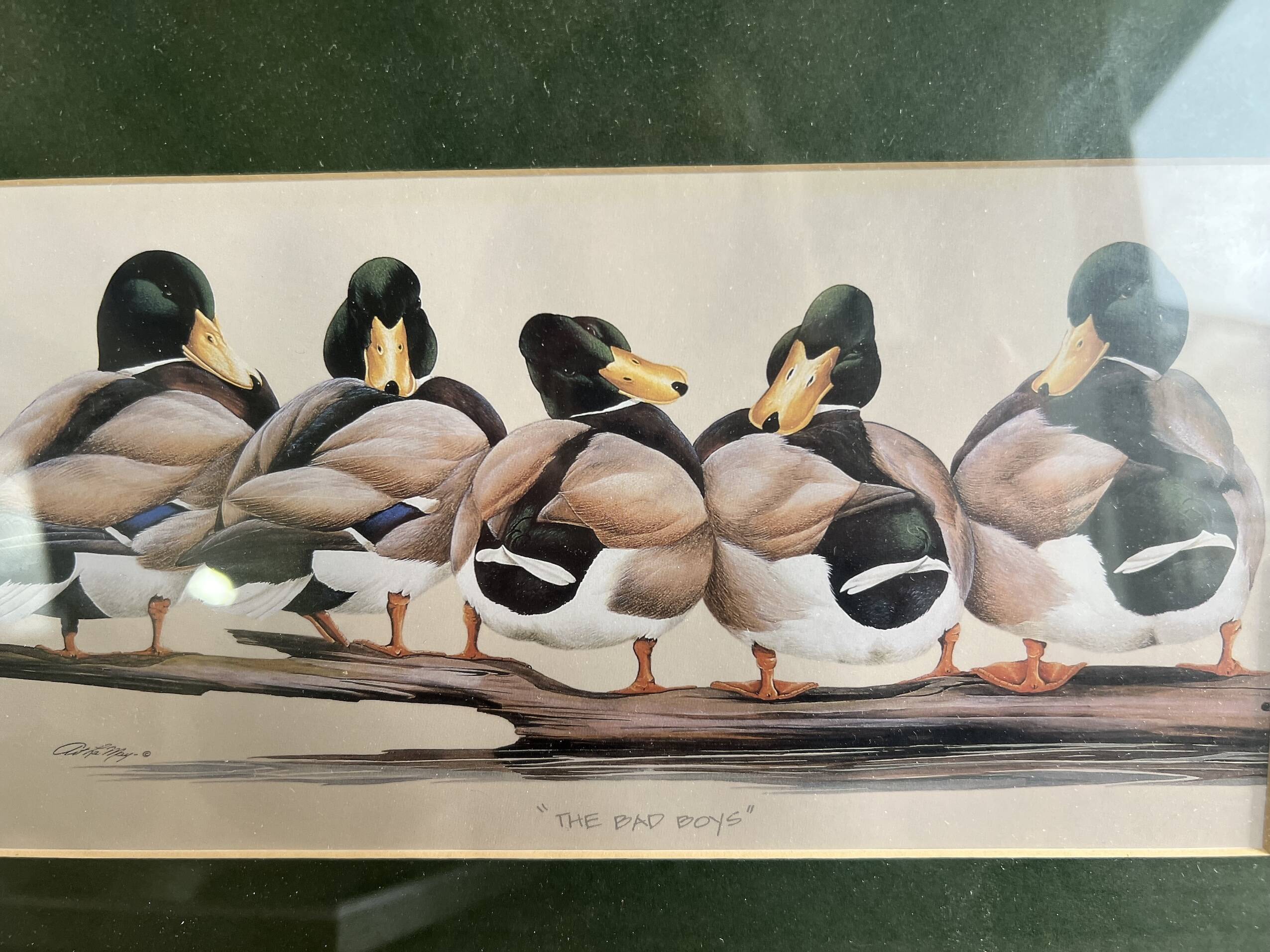 Set of 2 decorative duck wall posters ideal for children's rooms