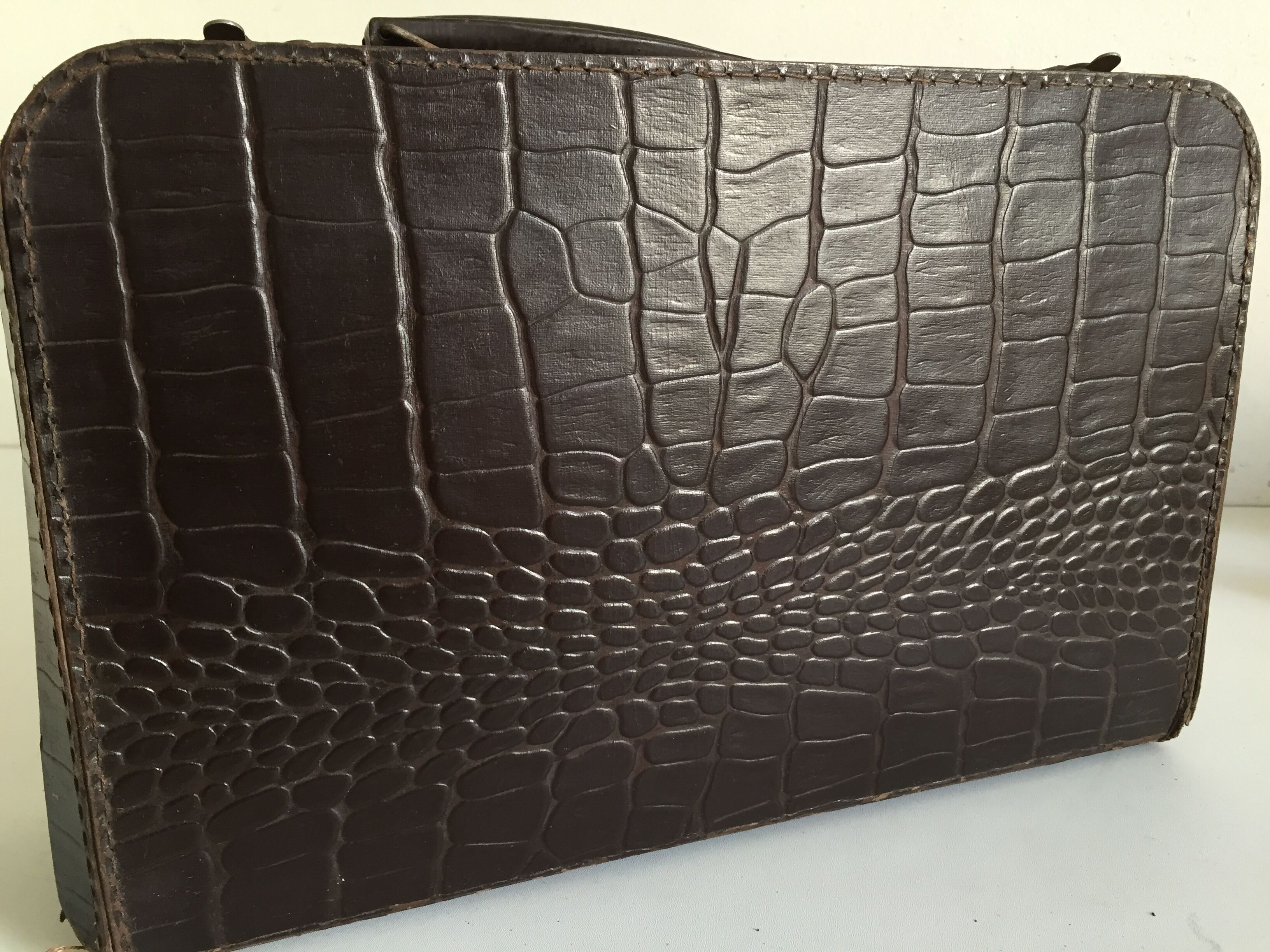 Small suitcase cardboard way crocodile