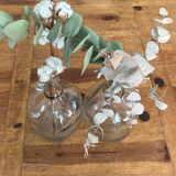 Jars