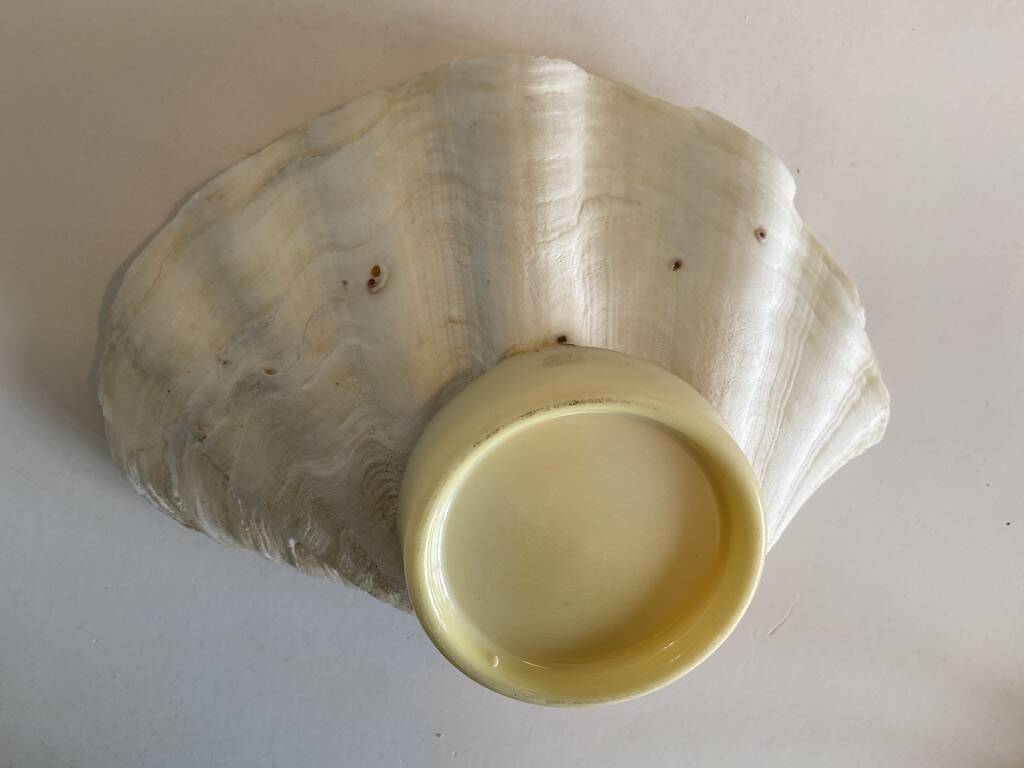 Large holy water clam shell on base - 34x25x11 cm - natural - 2600g