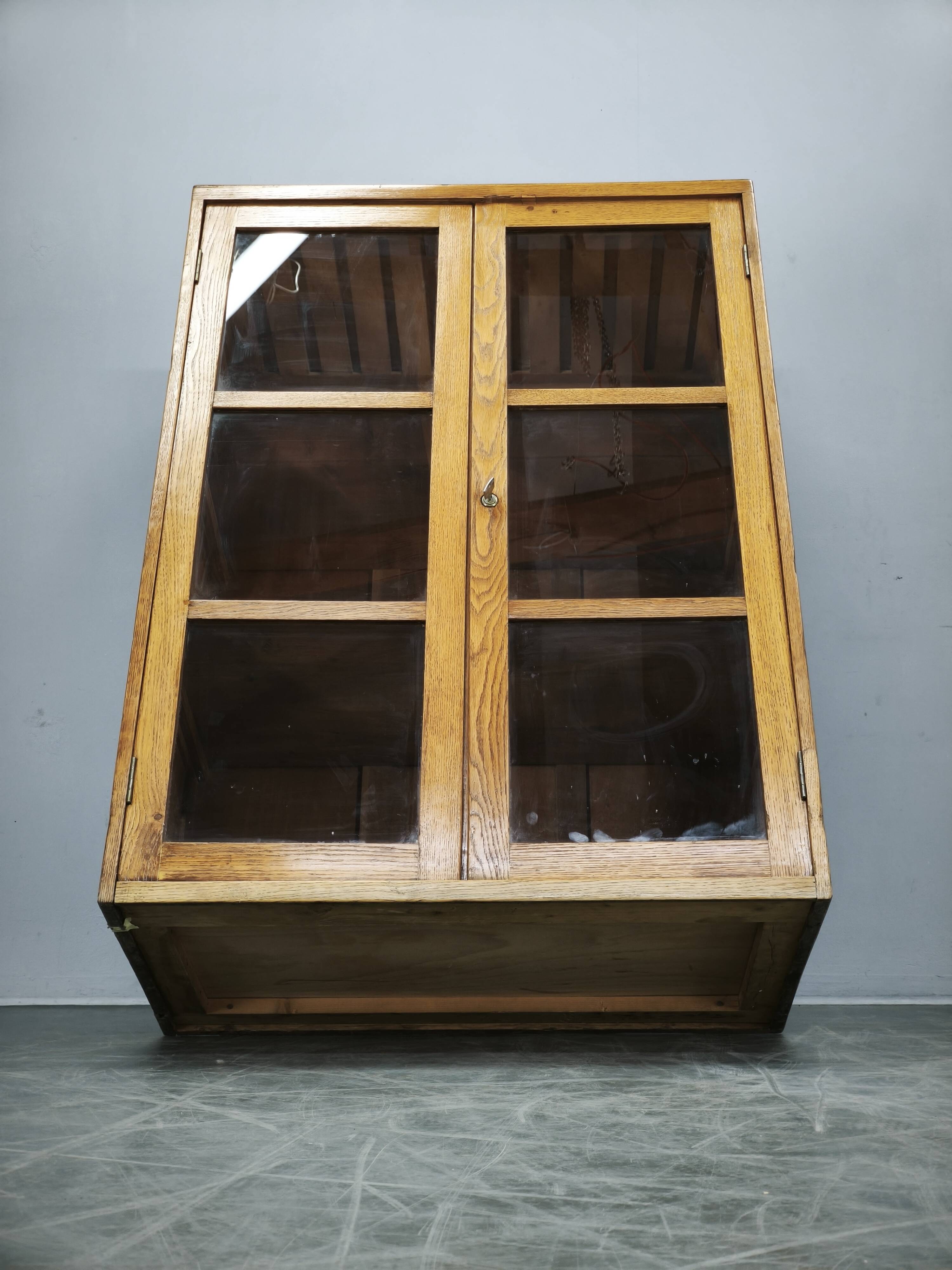 1930s Czech Oak Glass Bookcase from a Baťa Factory