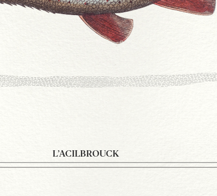 Set of 2 framed chimera lithograph animal engraving