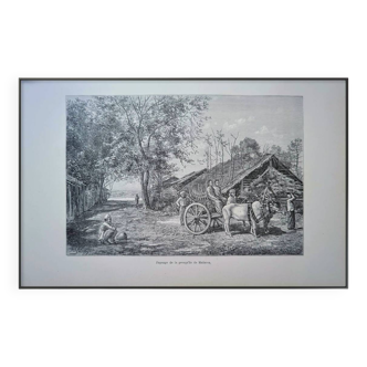 Imprimée en 1898, presqu'île de Malacca, Malaisie.