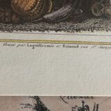 Old map of the Cévennes and GOLD Côtes d'Or