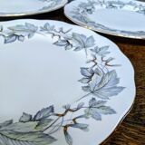 5 assiettes Royal Albert