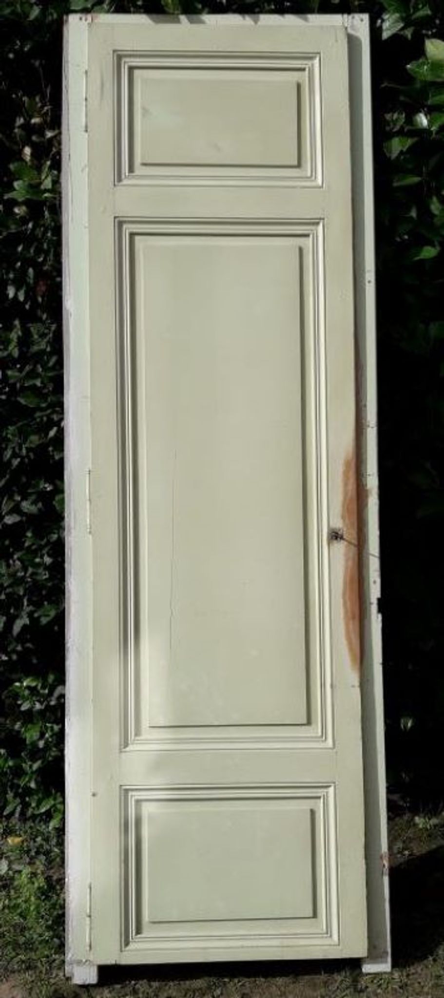 Porte 67.2x237.2cm de placard et son cadre