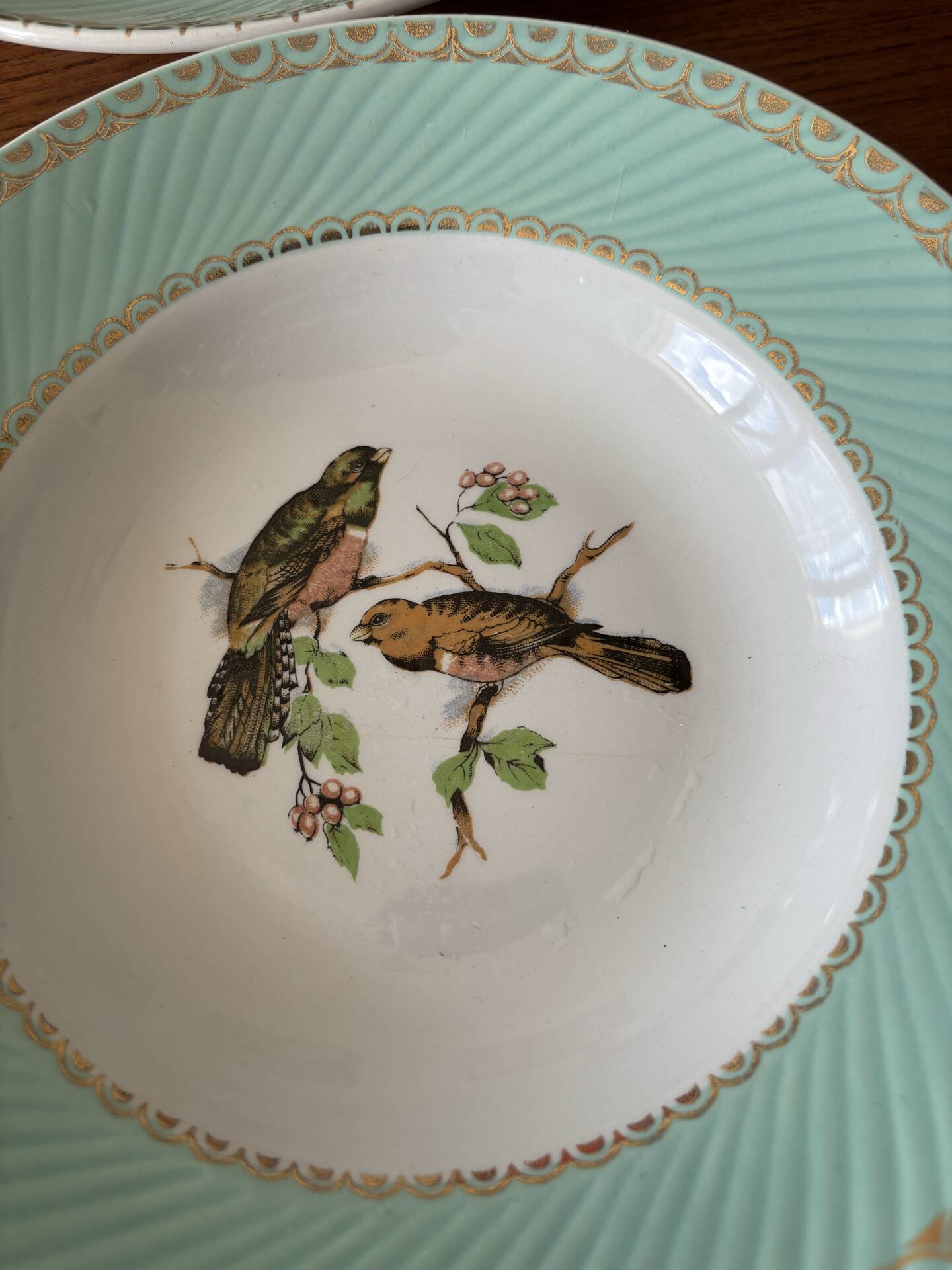 Set of 4 vintage deep plates in earthenware • Bird and leaf decoration