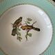 Set of 4 vintage deep plates in earthenware • Bird and leaf decoration