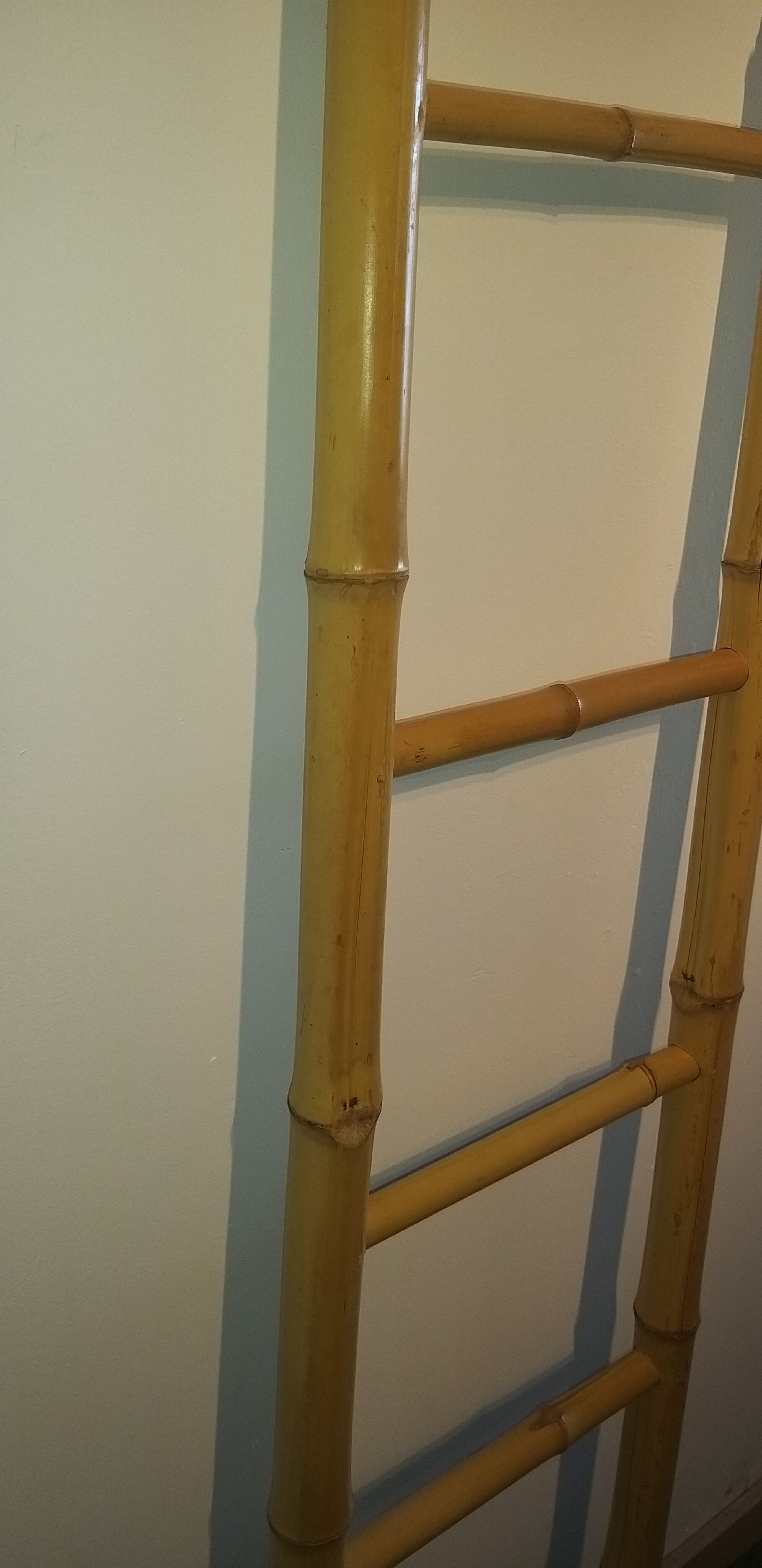 Bamboo ladder