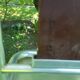 Coat rack Art Deco