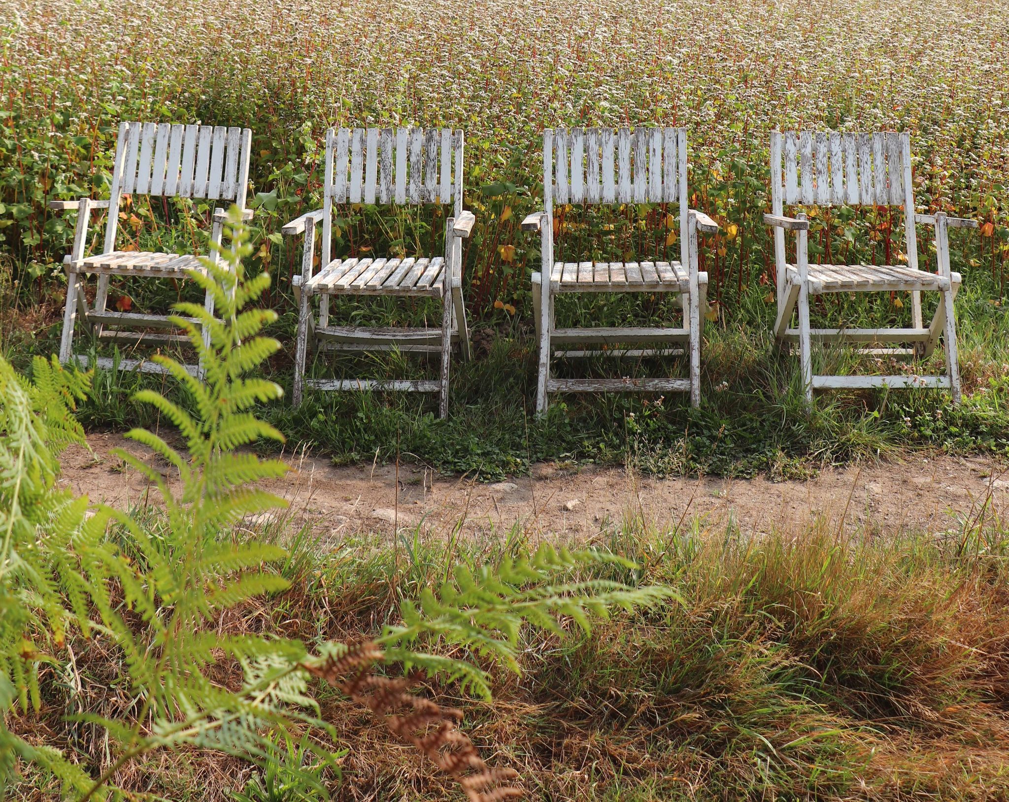 Set of 4 folding garden chairs in slatted wood – 1940 design
