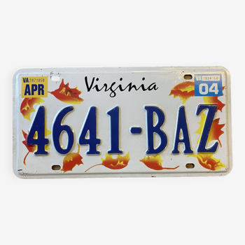 Plaque Virginia 4641-BAZ