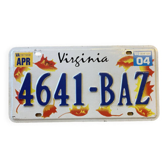 Virginia plate 4641-BAZ