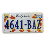Virginia plate 4641-BAZ