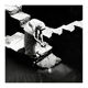 Stepwell. photography in Rajasthan 1960s