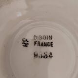 Bol Digoin