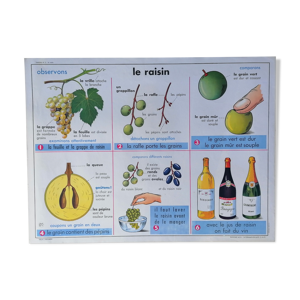 Ancienne affiche scolaire MDI,