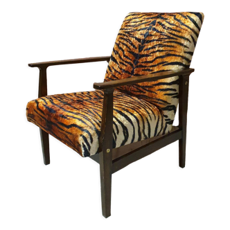 Renovated armchair BW-14, Tiger, Poland 1960s