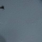 Height-adjustable floor lamp by Stiegler Marbach 1960s