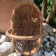 Country-style wicker basket