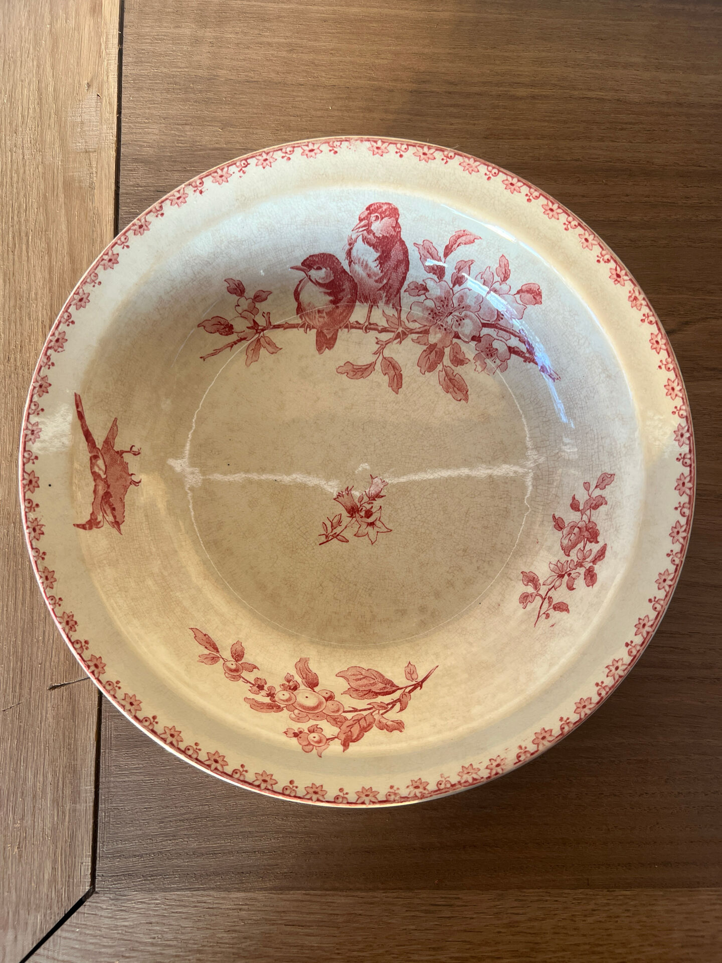 Sarraguemines & Digoin plate - Favourite model